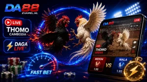 Đá gà da88 trực tiếp thomo, xem daga live cược siêu tốc